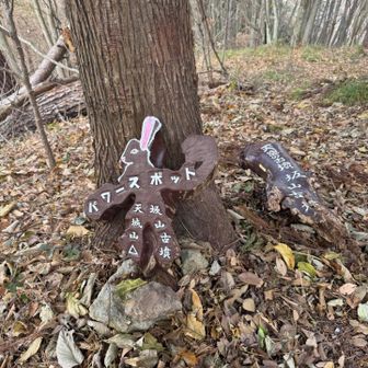 天城山（694m）。
他の標識は見当たらず、パワースポットと
書かれたうさぎ（？）のみ。