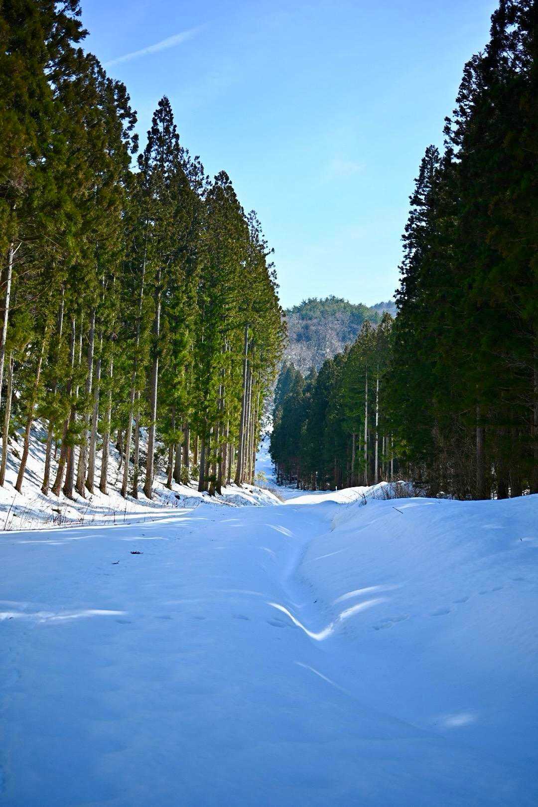 雪が増えてる