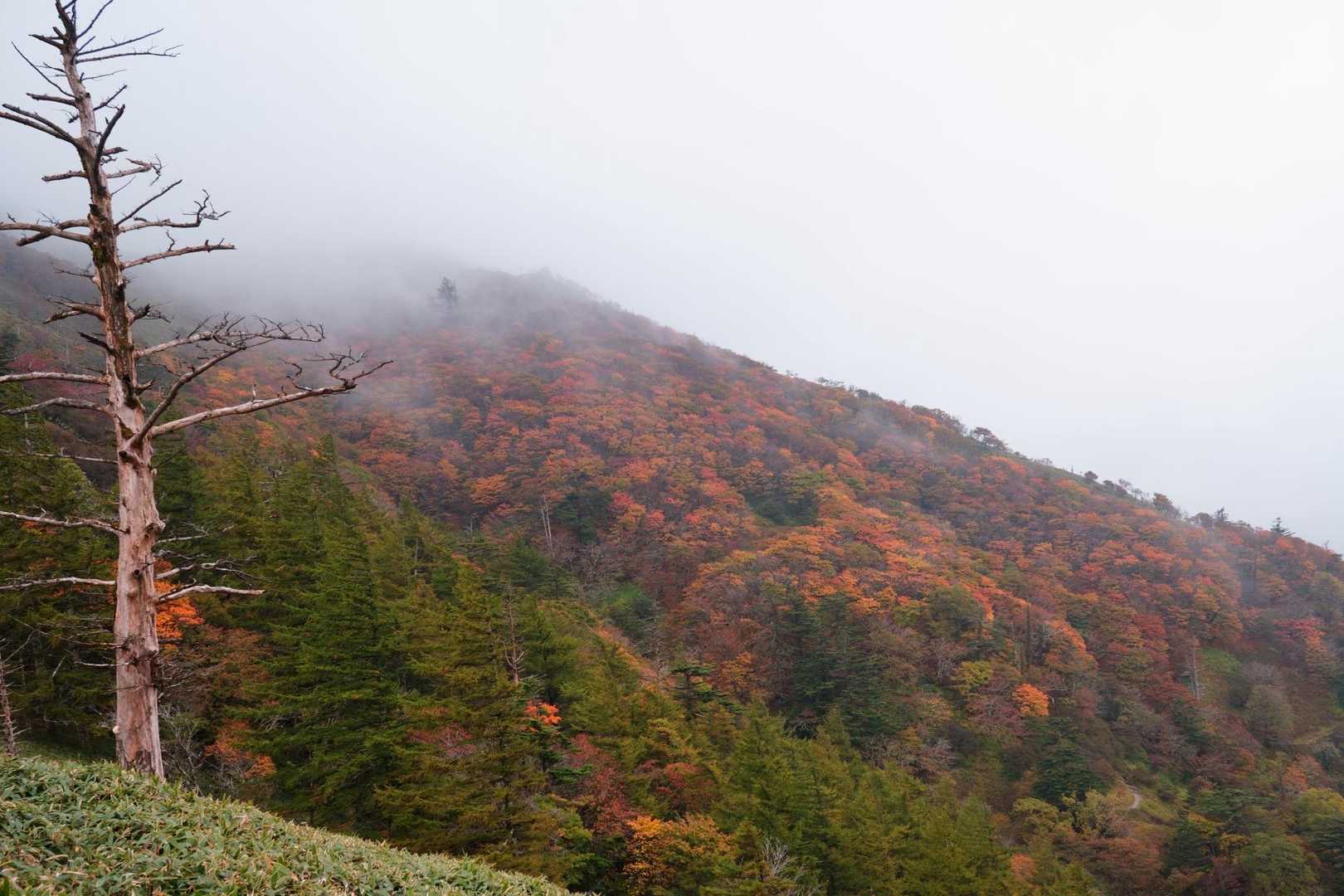 リフト駅近くの風景🍁