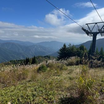 ゲレンデを降りようと思ったら草ボーボーで断念