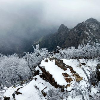 今日はレイヤリングが決まった。
いやレイヤリングだけじゃ山は成功しない。
ゆっくりタイミング良く登ってこれた。