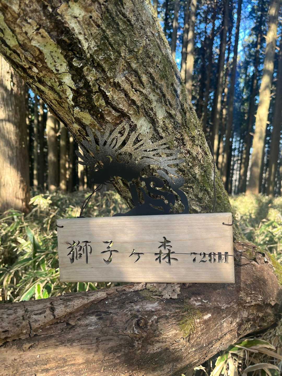 獅子ヶ森-巴山-文殊山 縦走コースの写真