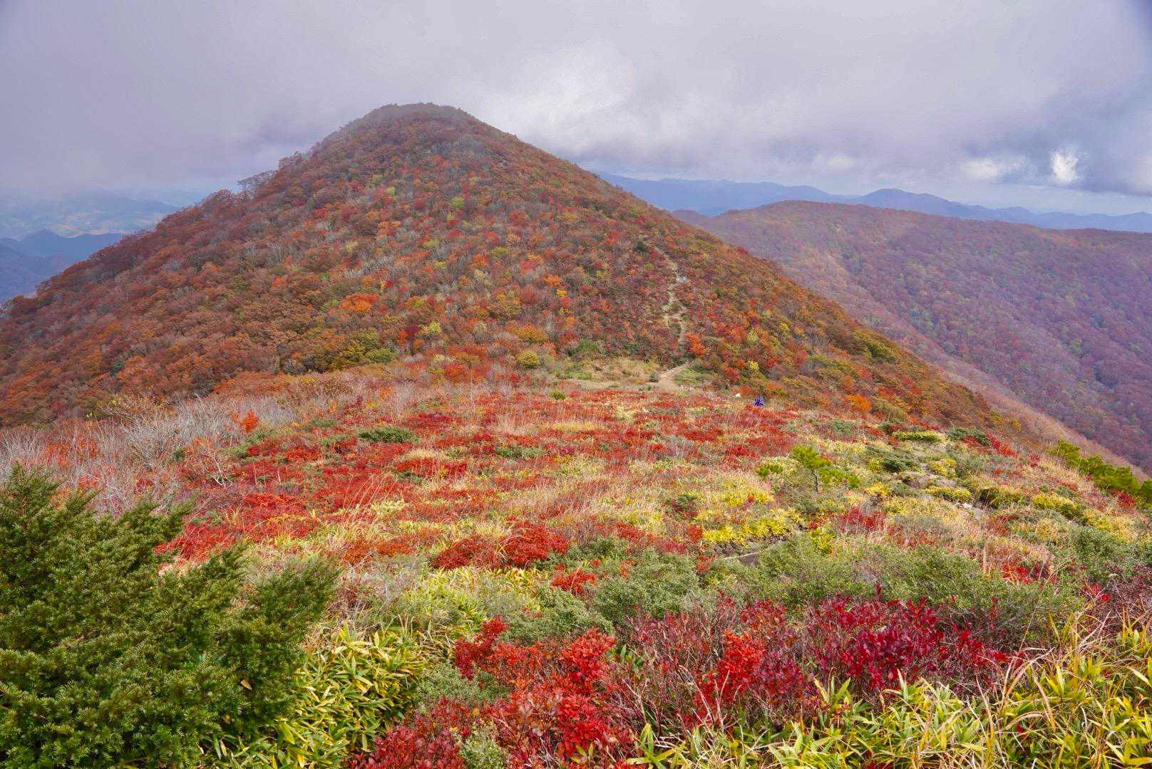 ひろしま県民の森登山口-展望園地-立烏帽子山-池ノ段-越原 周回コースの写真
