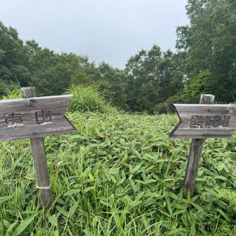 再び分岐
殿城山方面へ