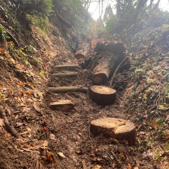 根本は置きっぱなしですが、うまく迂回できるようステップ設置していい感じになりましたね。