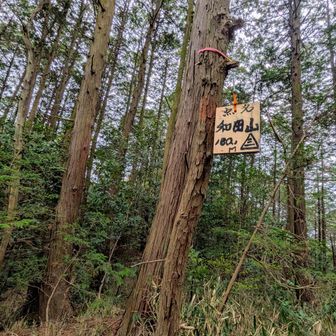 山頂プレート発見🫡