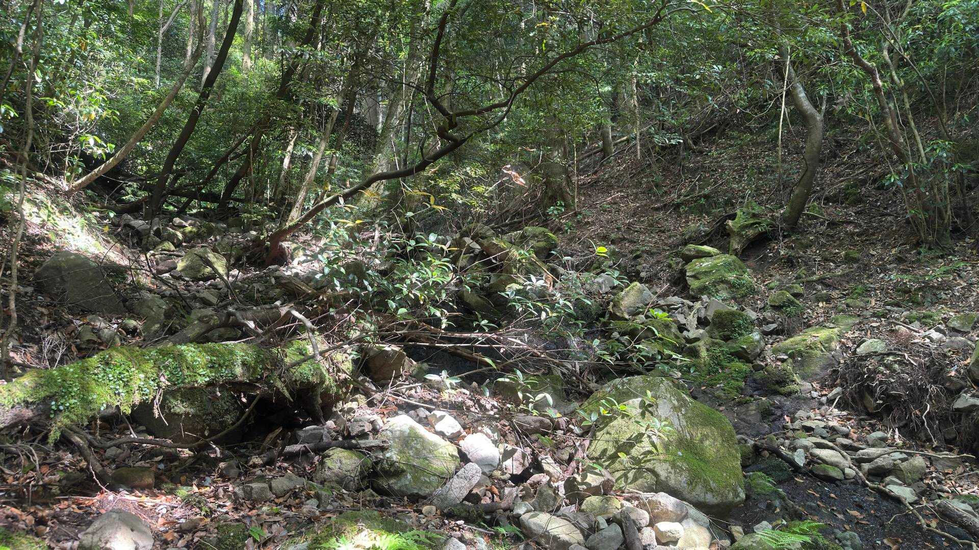 木漏れ日が良い感じです🌳