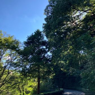 今日は晴れたねぇ〜☀️