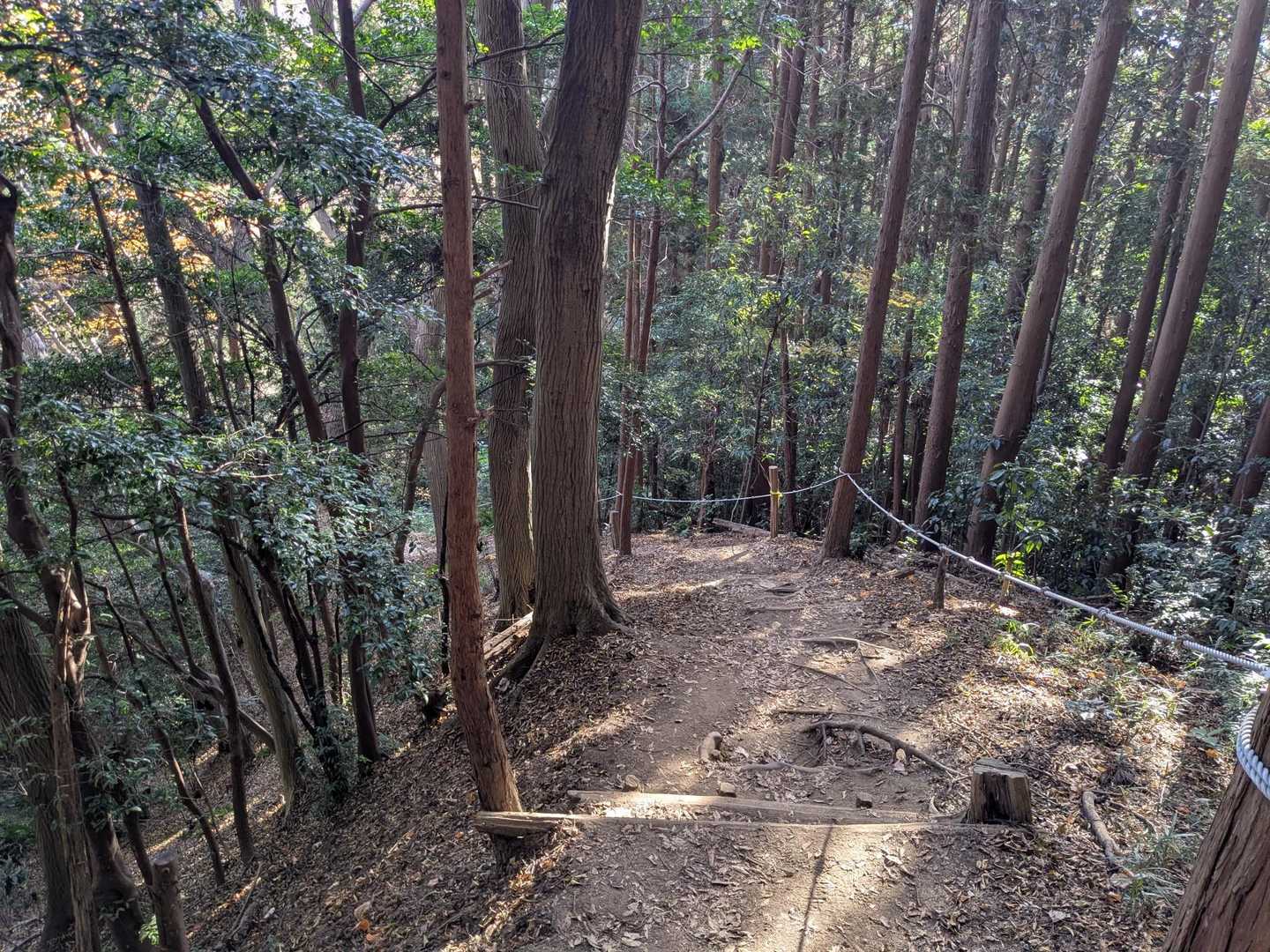 急坂を下り朝日峠に向かいます😊