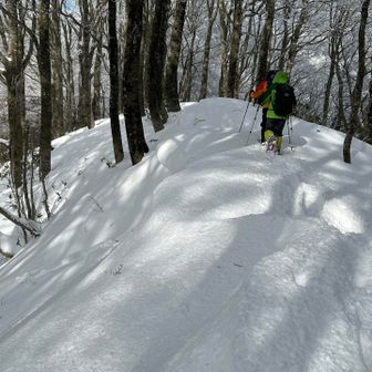 新雪を行くのは気持ち良いのですが、深いところは膝上まで
湿雪なので、ラッセル疲れます😓