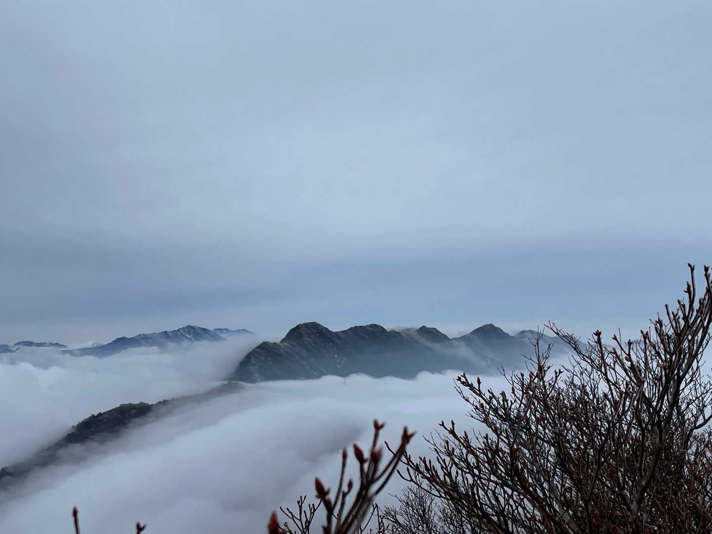 あー！
雲海と滝雲
