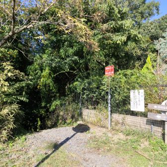 弥勒山登山口　県道に出ました　登山おしまい