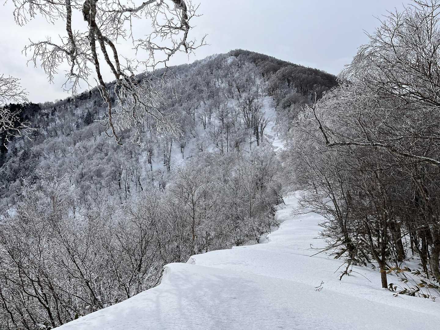 なめらか雪庇