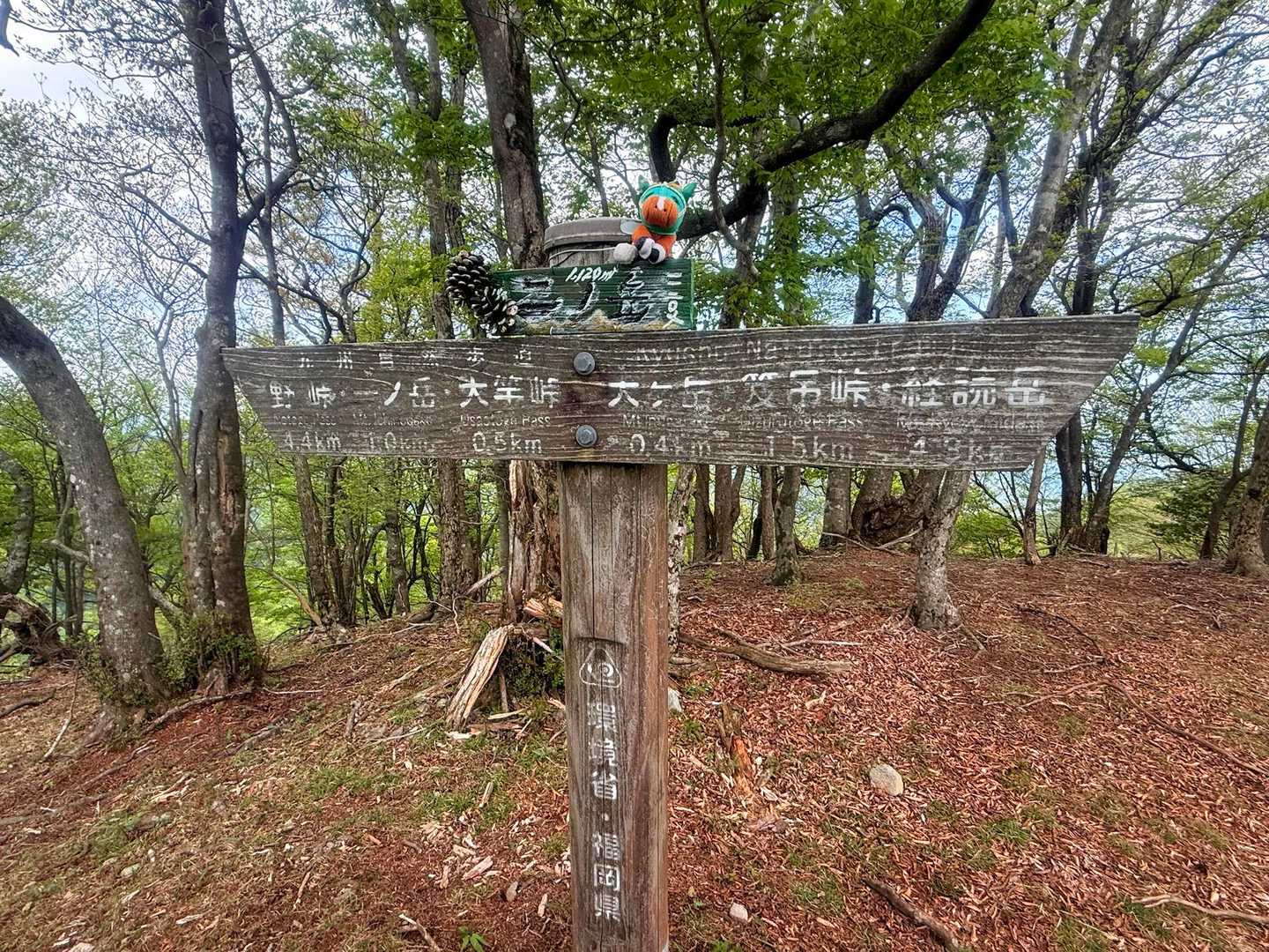 二ノ岳🪧✨