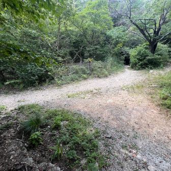 再び四叉路