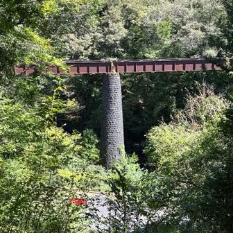 橋脚跡が見えた❗️