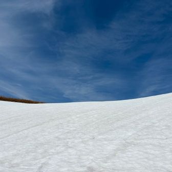 いつも想う
あの白壁の向こうの景色への期待