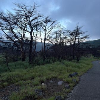 下山すると晴れ間はあるが､