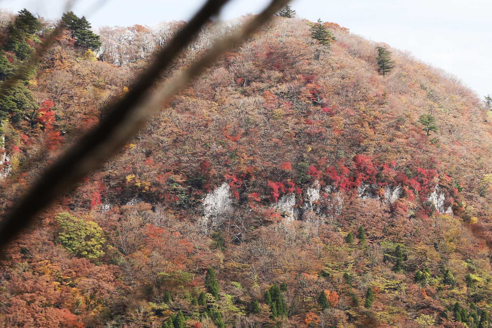 豊前坊登山口-英彦山-英彦山-奉幣殿-別所登山口 縦走コースの写真