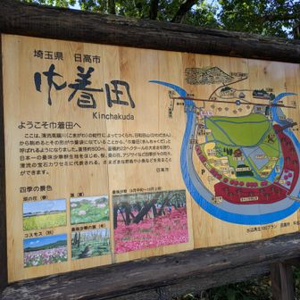 曼珠沙華で有名な巾着田❤️
