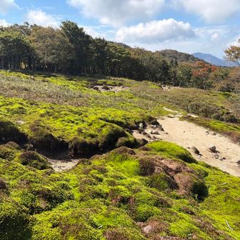 次は銚子に向かう事に
なんつーか苔のテーマパークってくらい苔だらけ
八経ヶ岳の苔とはまた違った趣きである