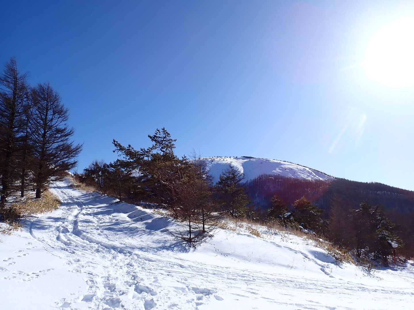 鉢伏山山頂が見えてきた。