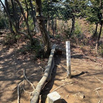 ただ、残念なのは、頂上は三角点があるだけでパッとしません。あと、登山道とは別に作業用のしっかりとした道が通っているので、そちらにつられて入っていくと、登山道から外れてしまいます。