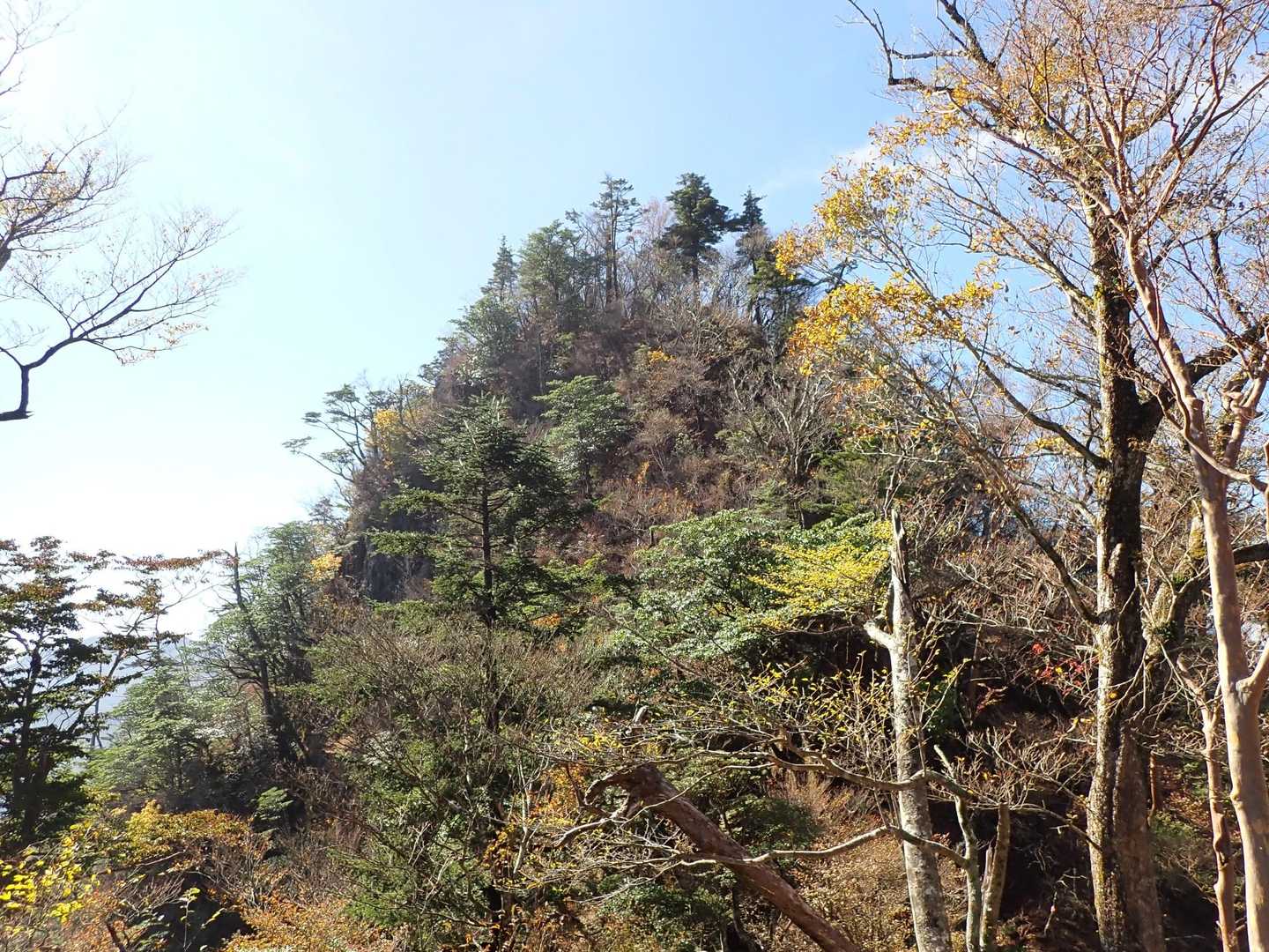 桧山直前の登り
しかも見えているのは偽ピーク！