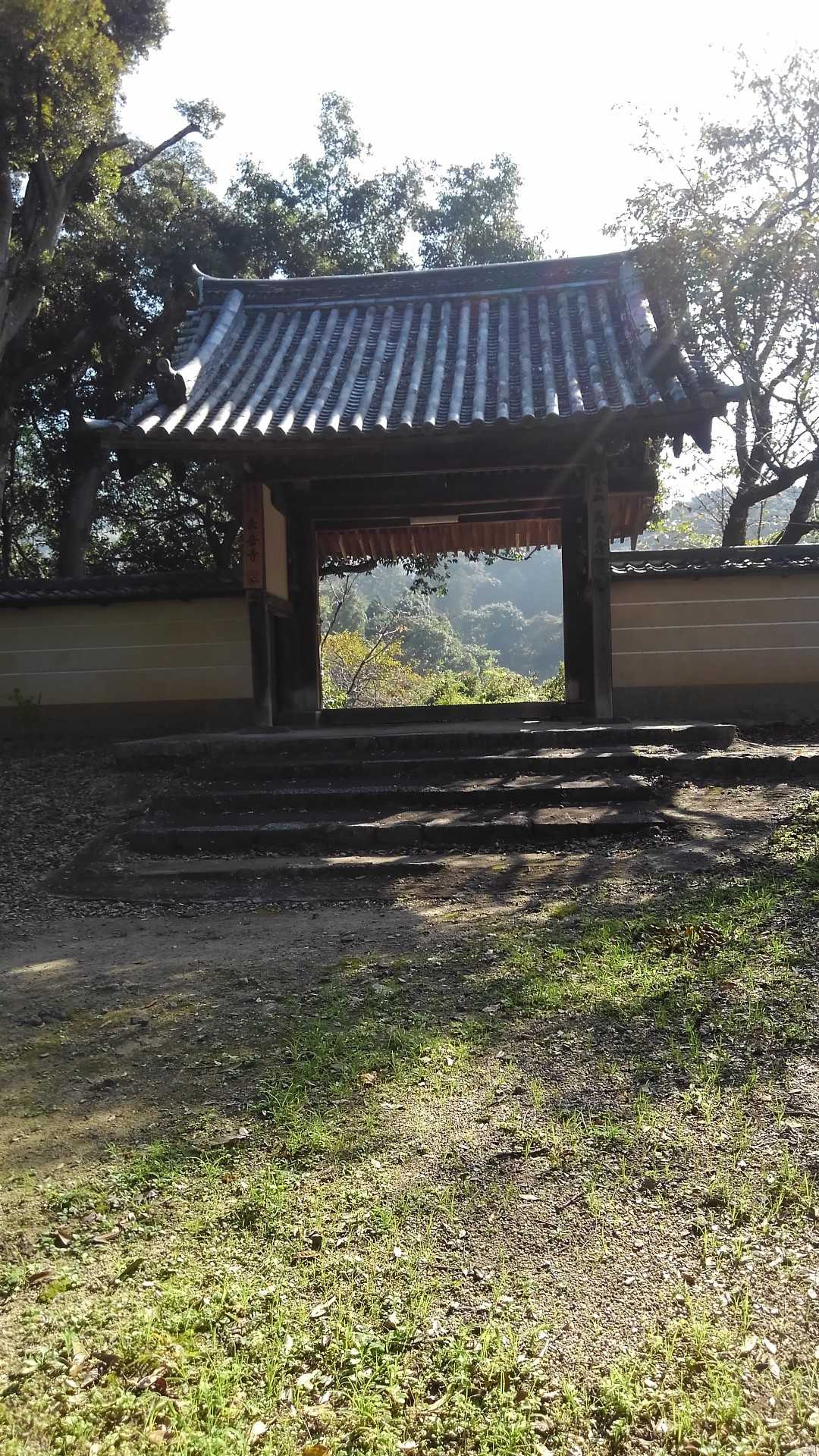 龍王山 往復コースの写真