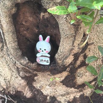 これらを撮影してると、なかなか前に進めません