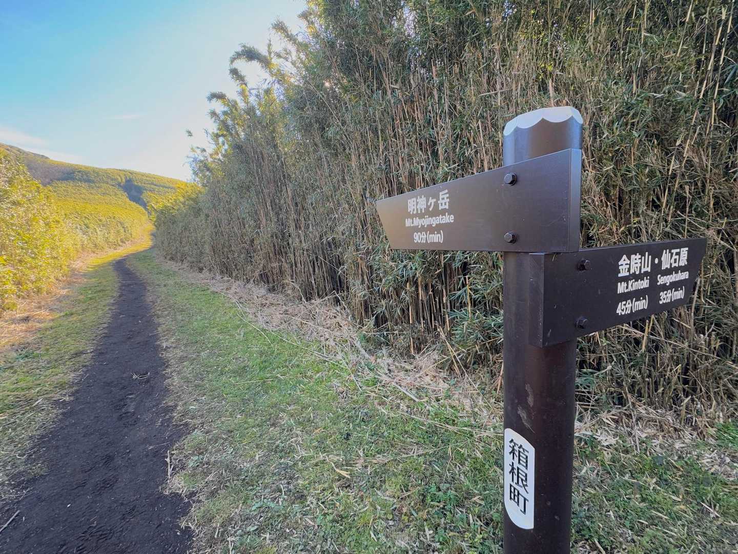 金時山との分かれ道
金時山までは45分表示(YAMAPだと57分)
明神ヶ岳までは90分(YAMAPだと137分)
47分も差がある