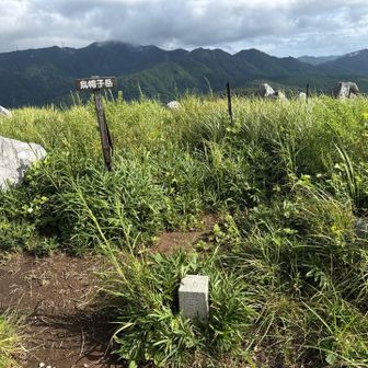 今日は何故かスムーズに登れた。