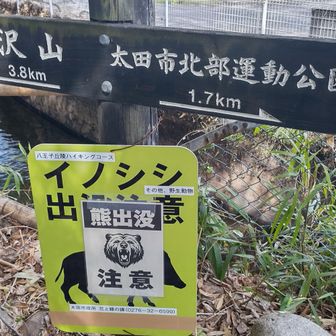 登山口に着きました🙆