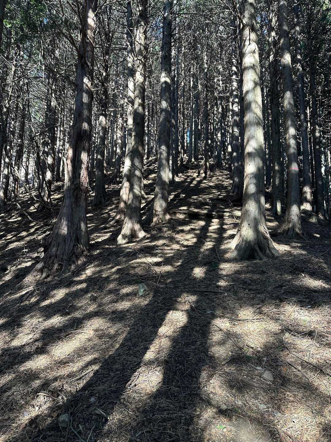 急登…