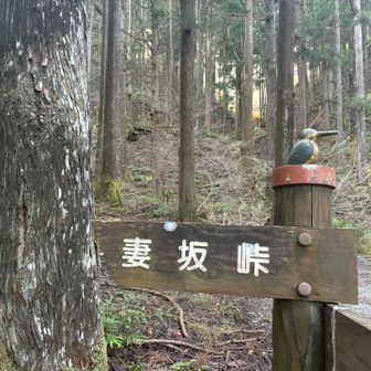 武甲山からの周回ルート予定してましたが、急遽、逆ルートから。こちらからだと激登り→ゆる下りとのことで、激下りよりは危険少なそうかなと