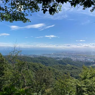 富山湾が見える