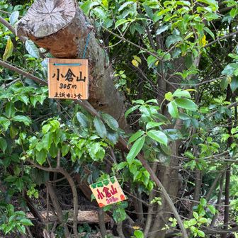 LE stページ　天王山1個、小倉山2個、さみどり2個 天王山・サントリー山・小倉山・十方山 / ゆきりんやまの登山データ