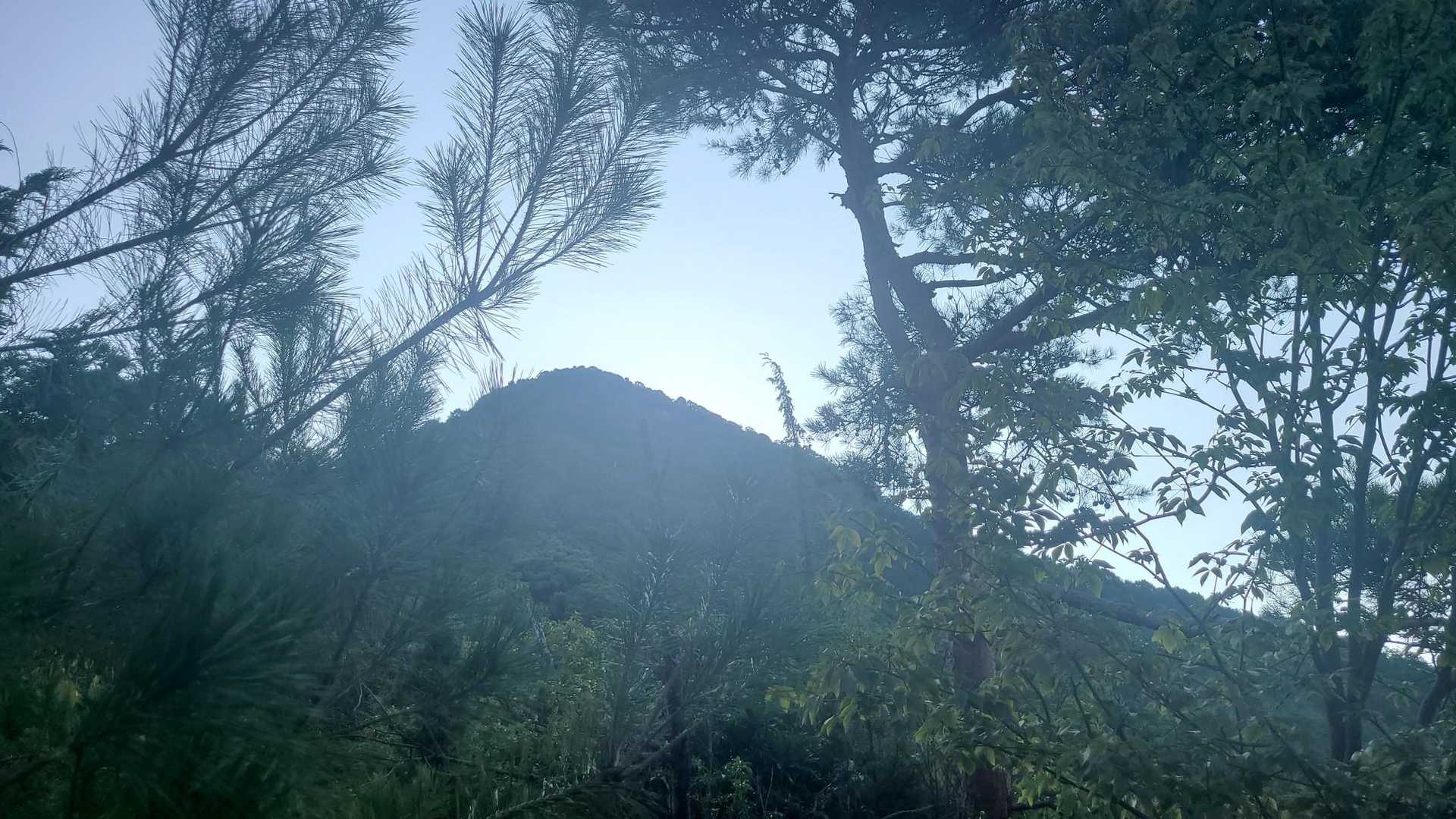 三上山がきれいに見えます