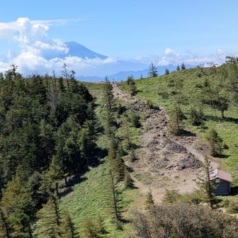 親不知ノ頭へは、一度下って登ります。
見た目よりラクチン