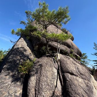ここは穴場やね👍