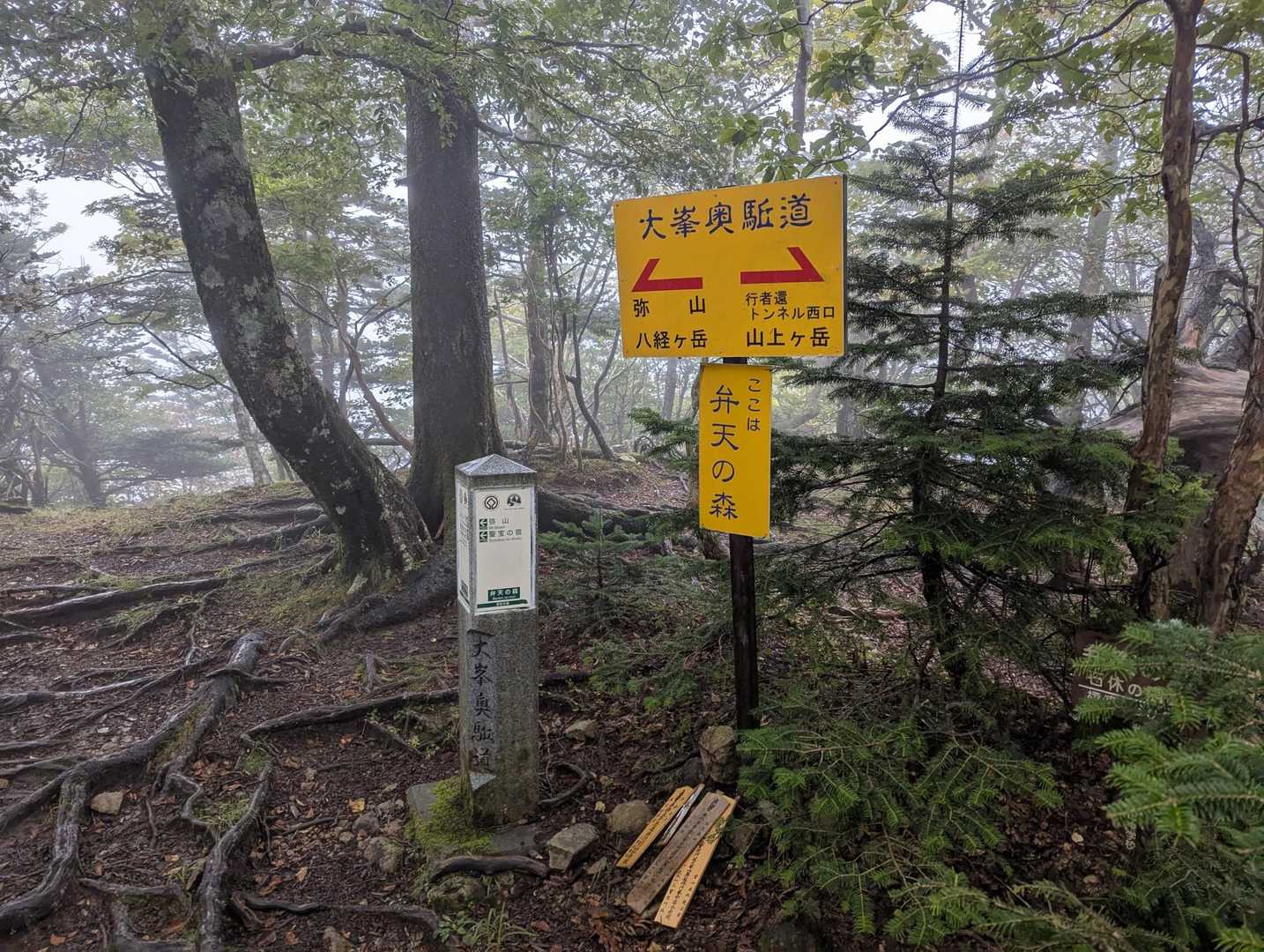 出合までが結構辛い💦

ここまで汗ダクは
想定内😙