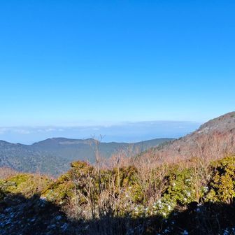 右側はこれから向かう三本杭、中央辺りに鬼ヶ城山、体力に余裕あれば行きます😅