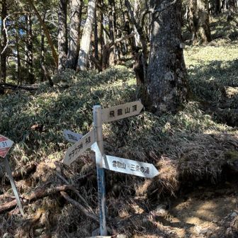 三条の湯行きたい♨️と思いつつ未だ行かず
泊まりで行くには少し物足りないから
