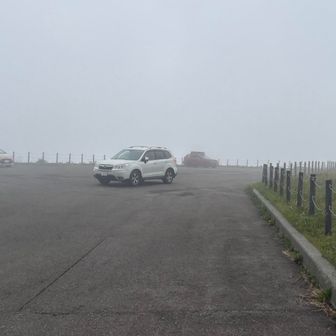 朝は満車だったが…