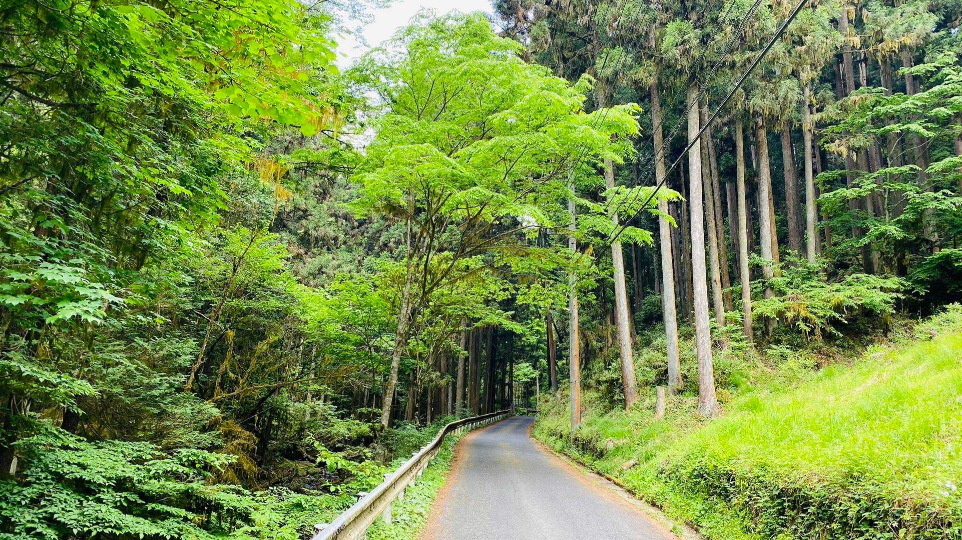 まずは舗装路を歩いていく