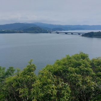 東名高速の浜名湖橋と奥は尉ヶ峰かな🤔
今日はドンヨリーヌ😶‍🌫️