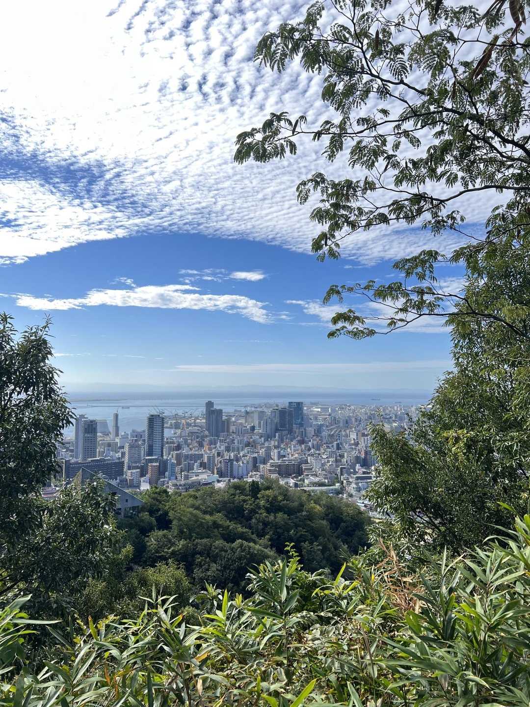 諏訪神社-市章山-城山-滝山城跡登山口-新神戸駅 縦走コースの写真
