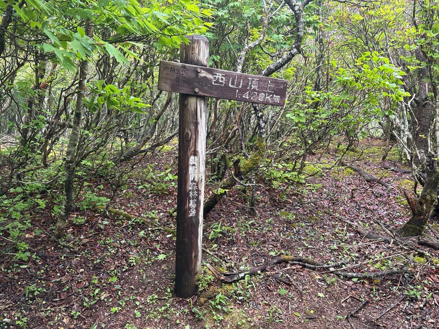 西山頂上