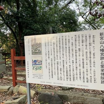 やった〜🎉60座完全コンプリート🎊