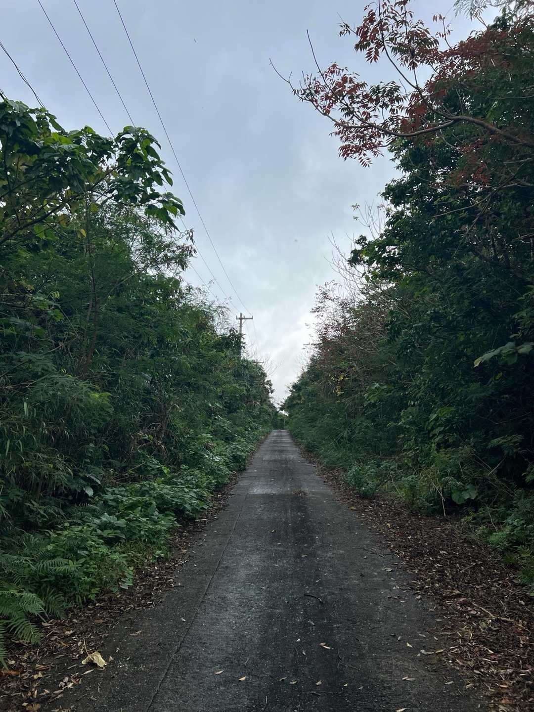山頂まで車でも行けますが、ここは登山！
